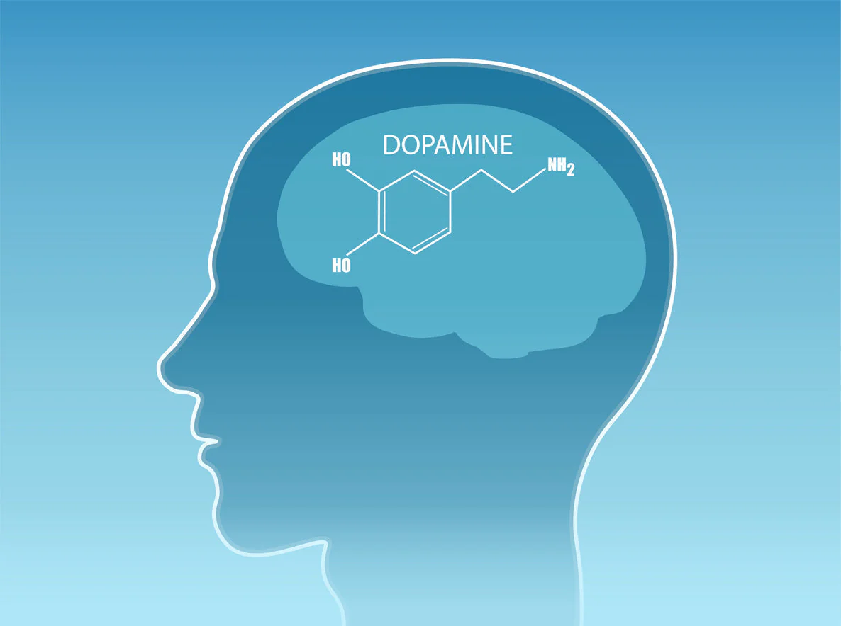 The Neurobiology of the Dopamine Menu: ADHD Motivation Mechanics