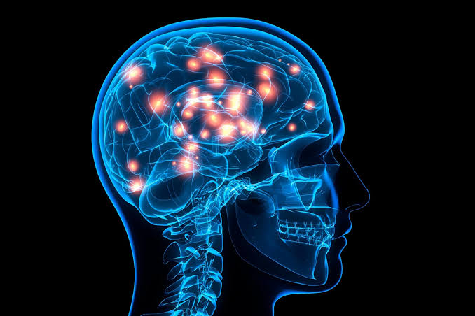 Physiological Exhaustion: Executive Dysfunction vs. Burnout