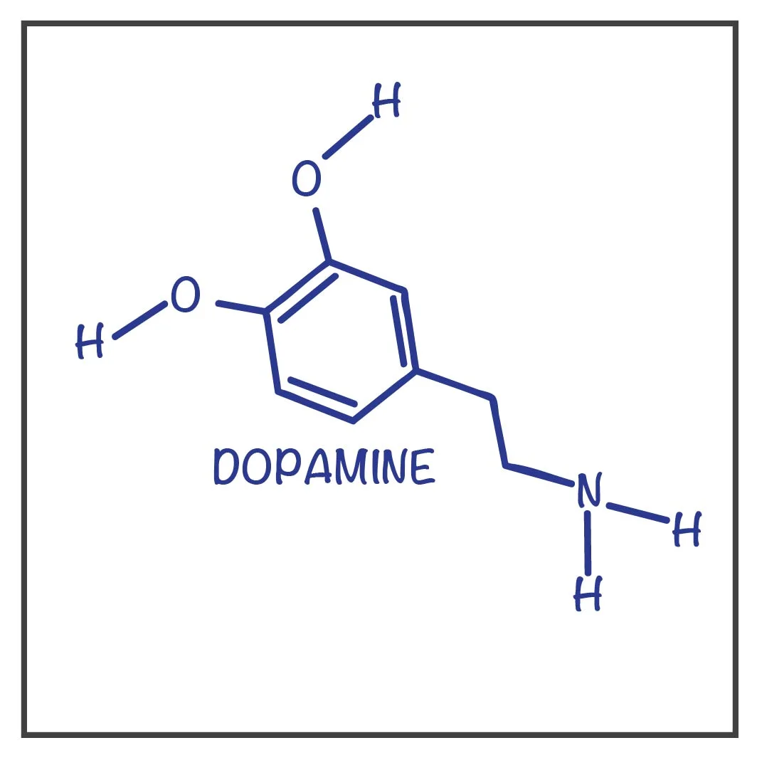 Dopamine Synthesis: Understanding Low Dopamine and Focus Fixes
